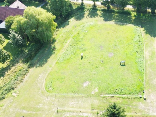 Großzügiges ehemaliges Bauernhaus mit angrenzender Scheune und Wiese, Pferdehaltung möglich!