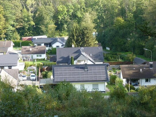 Verkehrsbegünstigte Forstfläche bei Oberwiehl am Ortsrand von Remperg mit Jungwald und Naturverjüngung provisionsfrei k…