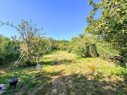 Landwirtschaftliche Wiese oder Garten in Bad Soden!