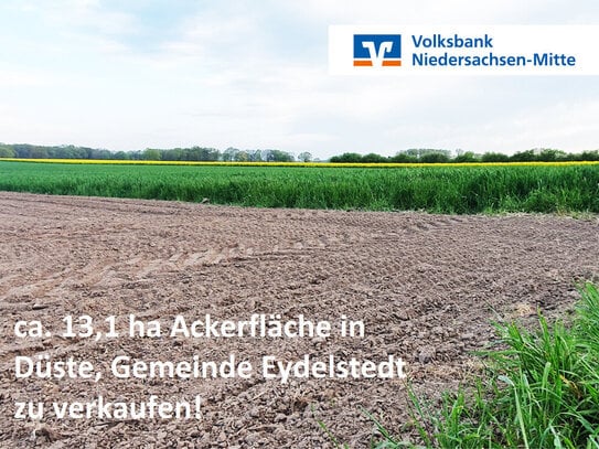 Ackerfläche in Düste, Gemeinde Eydelstedt zu verkaufen