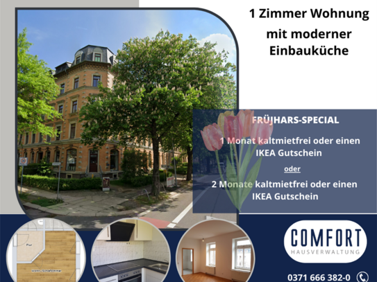 gemütliche 1-Raum-Wohnung mit EBK