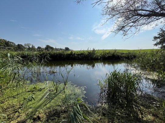 Eigenheim bei Sternberg in Flusslage