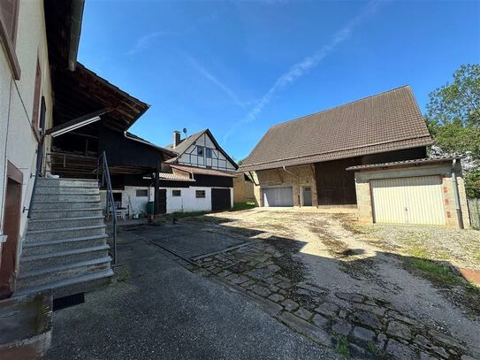 Historisches Wohnhaus mit Scheune auf großem Grundstück mit 1957m² in Neckargemünd-Dilsberg