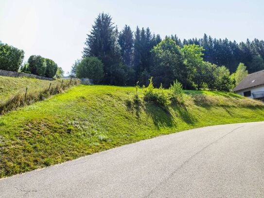 Voll erschlossenes Grundstück in Waldrandlage mit Panoramaaussicht