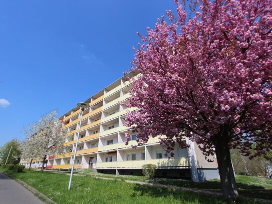 Schöne 1-Zimmer Wohnung ganz oben!