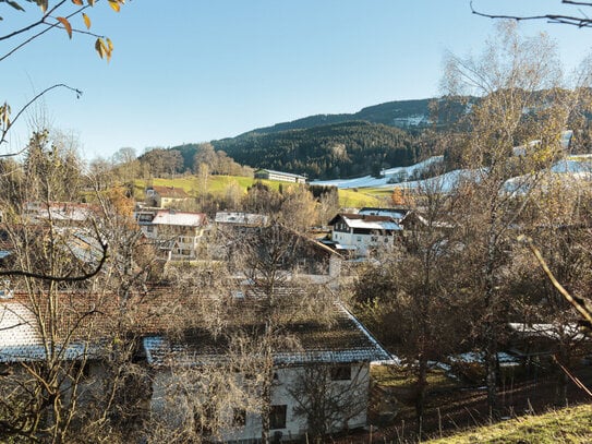 große Wohnung mit Garten und Ausblick über den Dächern von Nesselwang