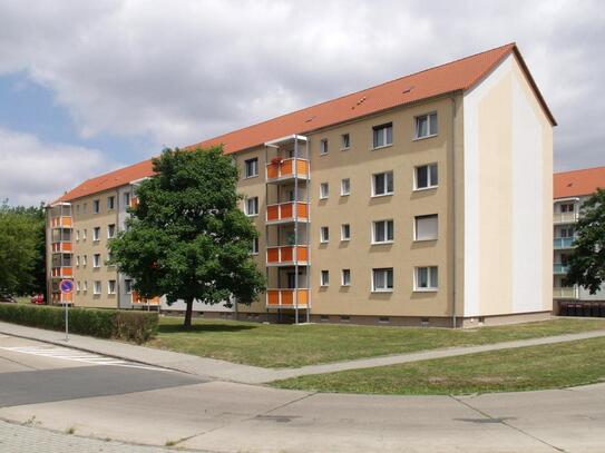 Willkommen im Grünen! 3-Raum-Wohnung mit Balkon in Riesa