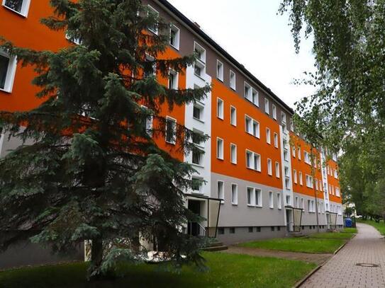 Kleine Oase im Flemminggebiet 3 Zimmer mit Balkon