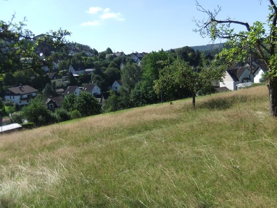 1 A-Grundstück in super Südlage, flach und mit unverbaubarem Fernblick am Rande von KREUZTAL (zum Urlaub machen) !!