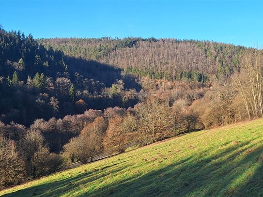 Voll erschlossenes & teilbares Baugrundstück in Eberbach - Friedrichsdorf !