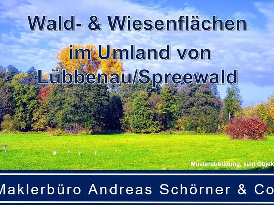 Verkauf verschiedener Wald-, Wiesen- und Brachflächen in Lübbenau und im Inneren Oberspreewald