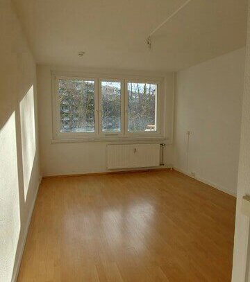 Kleines 1-Zimmer-Appartment zur sofortigen Anmietung.