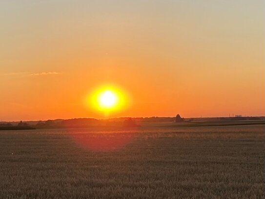 Freier Blick ins Feld!