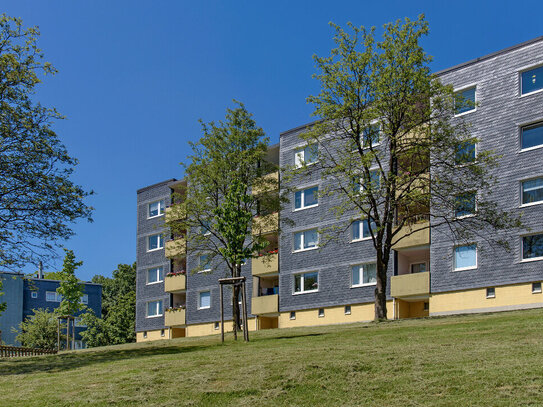 Sanierte Wohnung mit tollem Weitblick