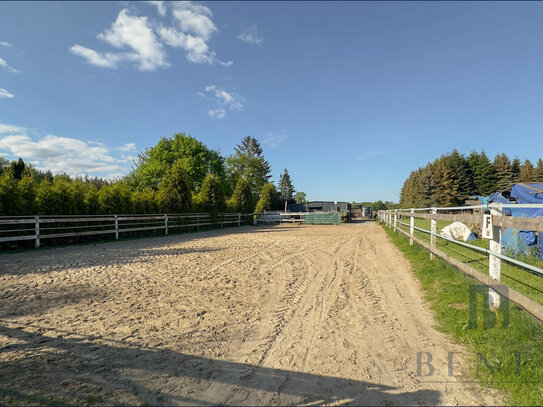 Besonderer Pferdehof mit großzügigem Ein-/Zweifamilienhaus und viel Weideland