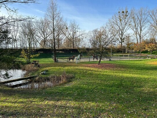 Besonderes Anwesen mit Wohnhaus und großem Stallgebäude (ca. 1000 m²) zur vielfältigen Nutzung