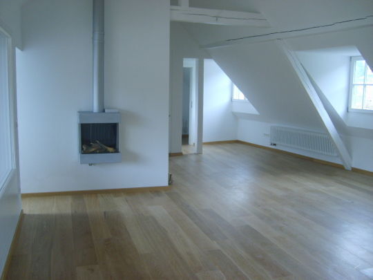 Penthaus /Maisonette / Stadtmitte / Aufzug in die Wohnung / Kamin / Loggia / Klima. Gibt es!