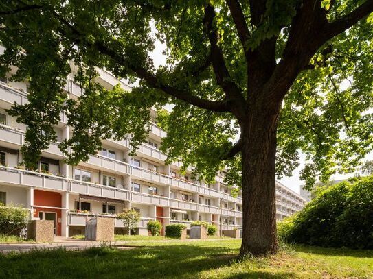 Gemütliche 2-Zimmer-Wohnung mit Balkon ab 01.01.2025