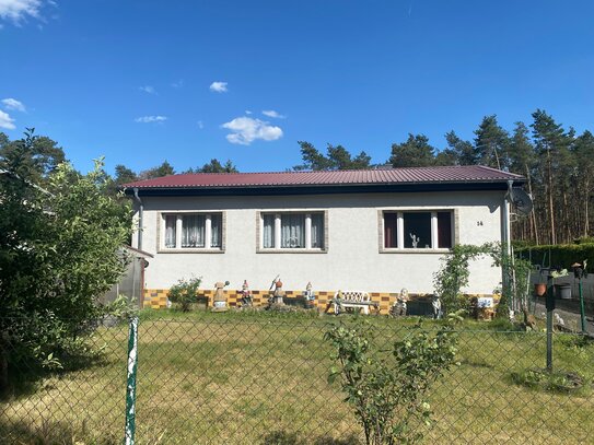 Natur pur! Ihr neues Zuhause im brandenburger Wald-Idyll.