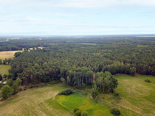 Nachverkauf: 2,3 ha Forstliegenschaft in der Oberlausitz - voll bestockt