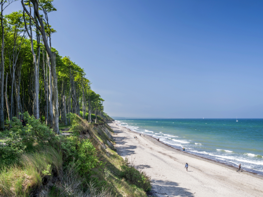 Perfekte Kombination: Ferienhaus zur Eigennutzung und Vermietung an der Ostsee *provisionsfrei*