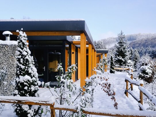 Typ A Luxus - D06 Neugebautes Ferienhaus in Niedersfeld