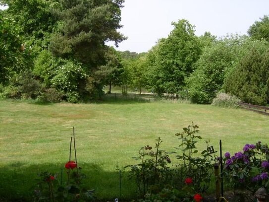 Ruhige 1-Zi-Whg. mit Terrasse und Blick auf den Mühlenteich