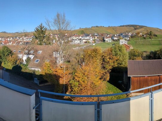 Provisionsfrei ! Schöne, renovierte 2-Zimmer DG-Wohnung mit Ausblick in Weinstadt