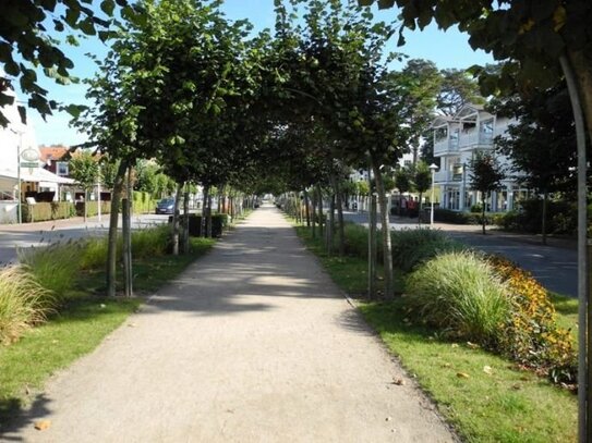 Ein Traum in bester Lage, in den Dünen des Baaber Ostseestrandes im Strandpark Baabe