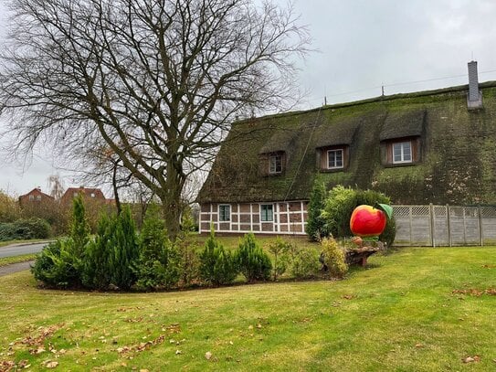 ** Wohnen wo andere Urlaub machen - OG-Wohnung auf dem Obsthof **