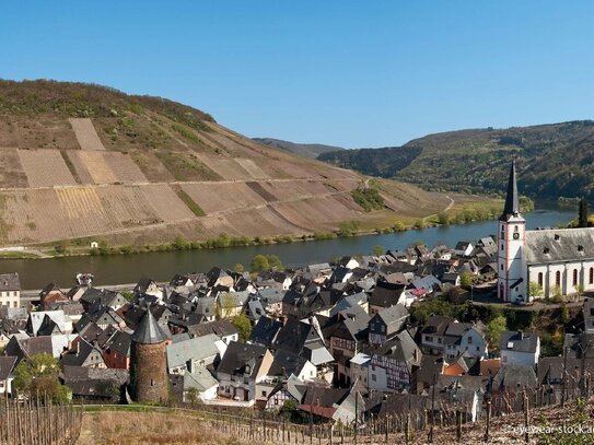 Weinberggrundstück