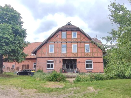 Märchenhafte Rübenburg möchte aus dem Dornröschenschlaf geweckt werden! Resthof mit Wiese