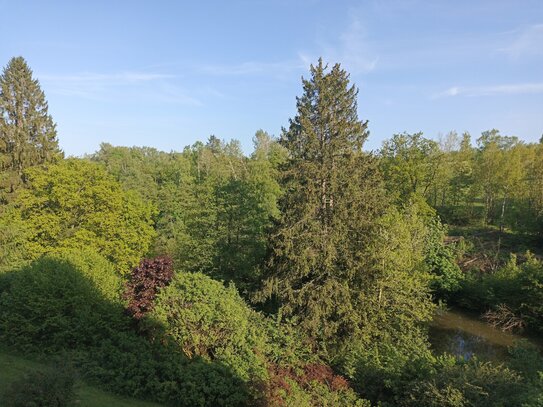 Willkommen am Rothaarsteig im schönen Hochsauerland zwischen Willingen und Brilon finden Sie Petersborn