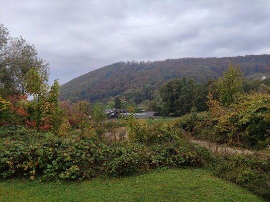 Traumhafte Investmentchance in Badenweiler: Geplantes Mehrfamilienhaus mit 9 Wohneinheiten!