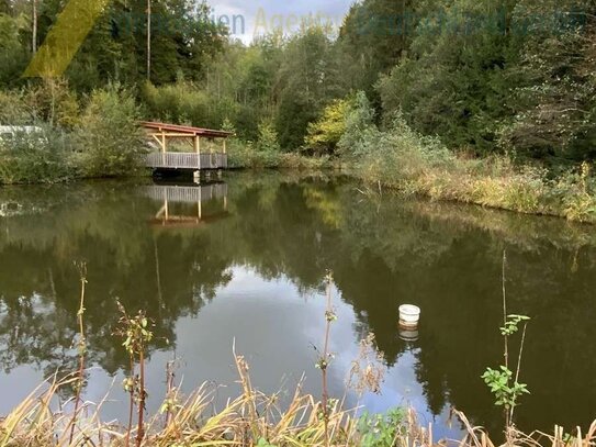 BLOCKHÜTTE - FISCHWEIHER -VOLL ERSCHLOSSEN