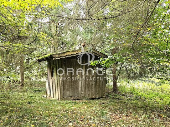 ***Natur pur !!! Wald und Grünland mit Hütte und Brunnen in Hofkirchen sucht Naturliebhaber!!!***