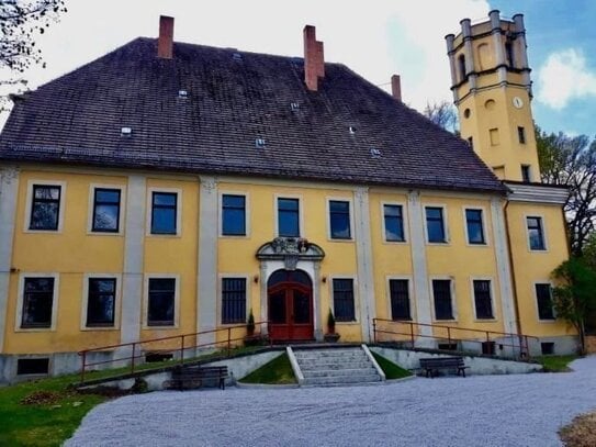 DREHLOCATION FILM DREH SCHLOSS IN SACHSEN 4000.-EURO/Tag zu vermieten