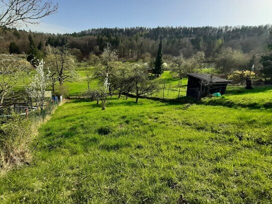 Obere Feinau - ruhig gelegenes Gartengrundstück