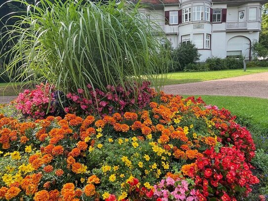 In KURPARK - Villa - Wenn WOHNEN wirklich Erholung ist -sonnige Wohnung - traumhaft gelegen -.