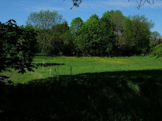 Grundstücke am Ortsausgang von Räpitz - jetzt reservieren - später bauen!