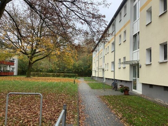 Lust auf diese schöne sanierte 3-Zimmer- Erdgeschoss- Wohnung mit Balkon?