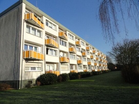 Teilrenovierte 3-Zimmer-Wohnung mit Balkon und Vinylboden in grüner Umgebung...