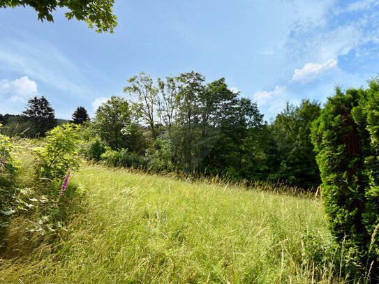 Großes, sonniges Baugrundstück mit vielseitigen Bebauungsmögichkeiten in Oberreifenberg