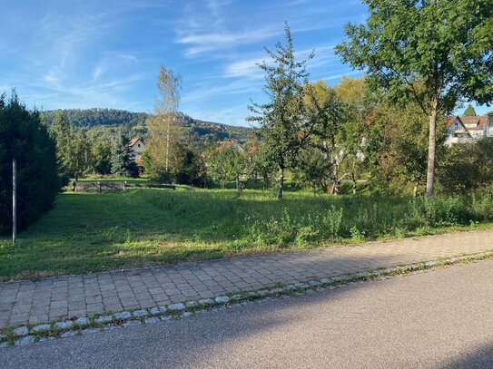 Bauplatz in hervorragender Lage