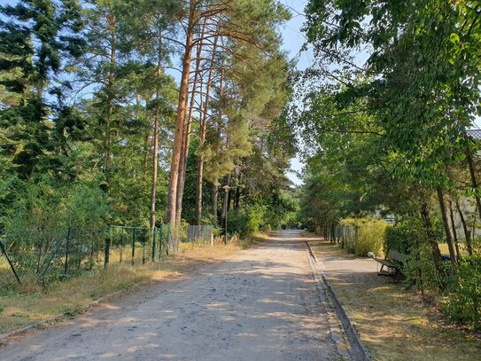 15754 Gemeinde Heidesee/OT Kolberg: Naturnahes Wohnen in direkter Nähe zu Berlin: Baugrundstück umrahmt von ruhiger, wa…