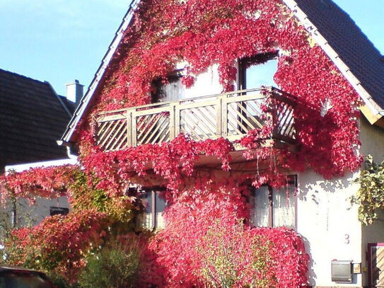 Freistehendes Einfamilienhaus mit großzügiger Nutzfläche in Ortsrandlage