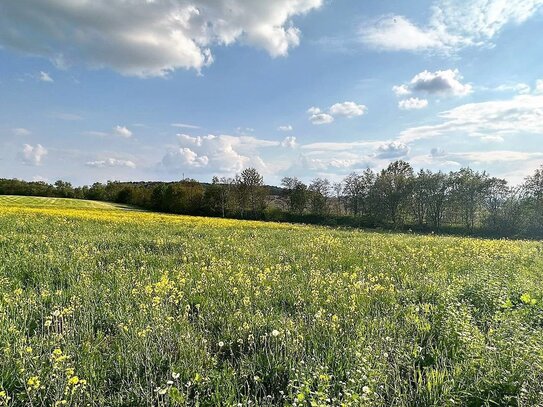 Verwirklichen Sie Ihren Wohntraum auf 2.200 m² Grundstücksfläche.