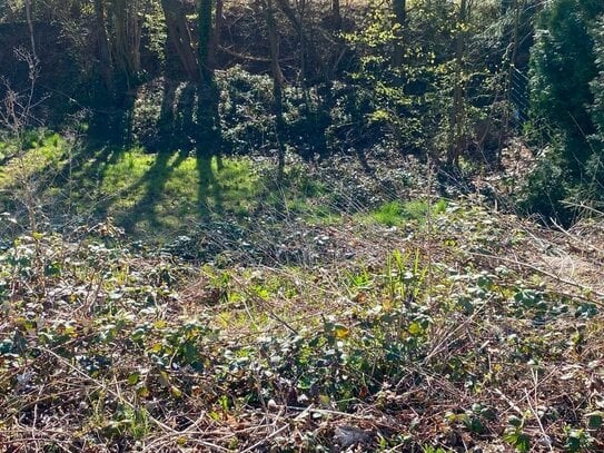 Baugrundstück mit Planung und Statik in Fröndenberg am Hirschberg gelegen