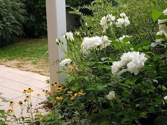 Sehr schöne 2 Zi-Senioren-Wohnung mit sonniger Gartenterrasse