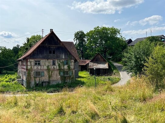 Renovierungsbedürftiges Bauernhaus mit Potential in Salem-Rickenbach am Bodensee